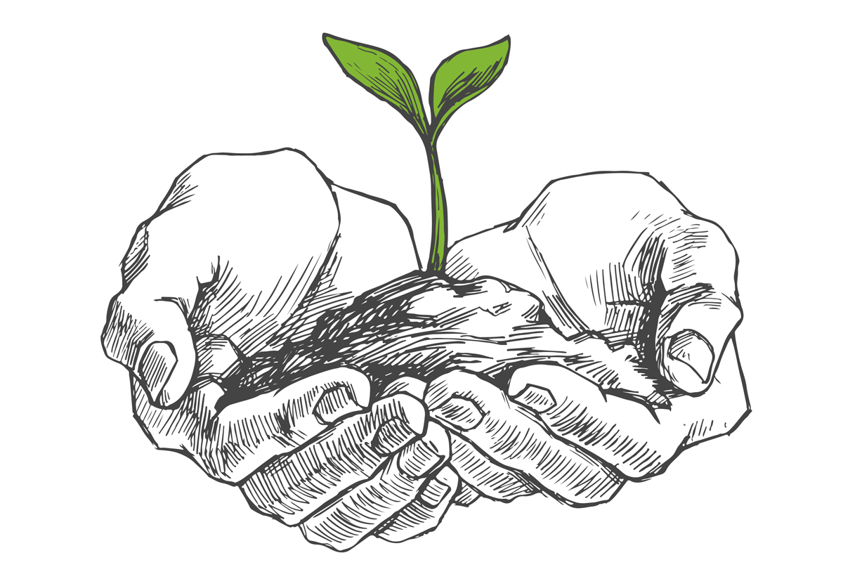 Diretores e diretoras têm poder. Como diz o livro de Eclesiastes: para plantar ou para arrancar o que se plantou (Crédito: Shutterstock)