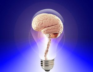 Neurociência na educação é tema de curso online